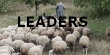 Leaders